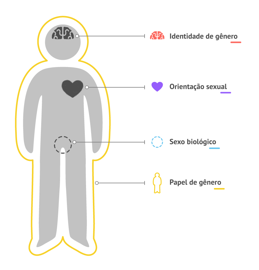 O infográfico apresenta a silhueta de uma pessoa. O conceito de “identidade de gênero” está ligado ao cérebro. O conceito de “orientação sexual” está ligado ao coração. Já o conceito de “sexo biológico” está ligado aos órgãos genitais. Por fim, o conceito de “papel de gênero” engloba todo o corpo da pessoa.